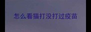 怎么看猫打没打过疫苗