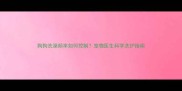 狗狗洗澡频率如何控制宠物医生科学洗护指南