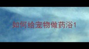 如何给宠物做药浴