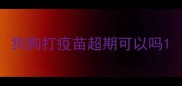 狗狗打疫苗超期可以吗