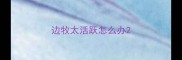 边牧太活跃怎么办