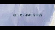 哈士奇不能吃的东西