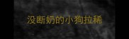 没断奶的小狗拉稀