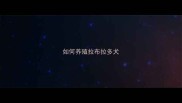 如何养殖拉布拉多犬