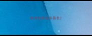 称犬拉布拉多身长