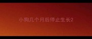 小狗几个月后停止生长