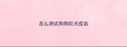 怎么测试狗狗狂犬疫苗