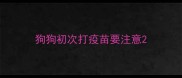狗狗初次打疫苗要注意