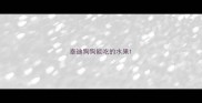泰迪狗狗能吃的水果