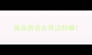 商品房适合养边牧嘛