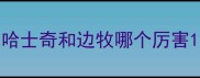 哈士奇和边牧哪个厉害