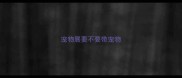 宠物展要不要带宠物