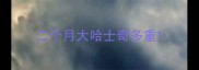 二个月大哈士奇多重