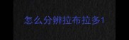 怎么分辨拉布拉多