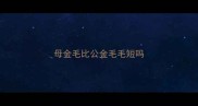 母金毛比公金毛毛短吗