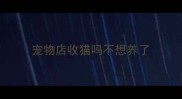 宠物店收猫吗不想养了
