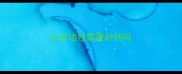 六岁边牧需要补钙吗