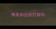 博美和边牧打架吗