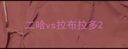 二哈vs拉布拉多