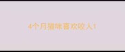 4个月猫咪喜欢咬人
