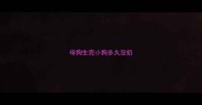 母狗生完小狗多久没奶