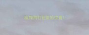 给狗狗打疫苗的位置