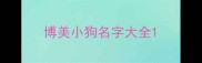 博美小狗名字大全