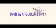 狗疫苗可以晚点打吗