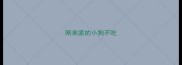 刚来家的小狗不吃