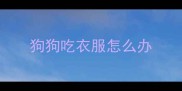 狗狗吃衣服怎么办