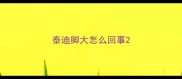 泰迪脚大怎么回事
