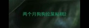 两个月狗狗拉屎粘稠