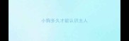 小狗多久才能认识主人
