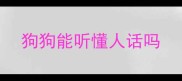 狗狗能听懂人话吗