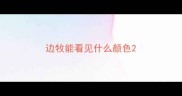 边牧能看见什么颜色