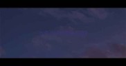 六个月玩具贵宾肩高