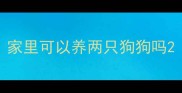 家里可以养两只狗狗吗