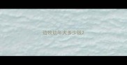 边牧幼年犬多少钱