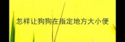 怎样让狗狗在指定地方大小便