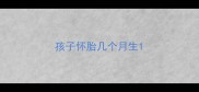 孩子怀胎几个月生