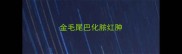 金毛尾巴化脓红肿