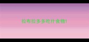 拉布拉多多吃什食物