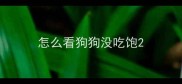 怎么看狗狗没吃饱