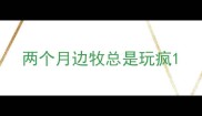 两个月边牧总是玩疯