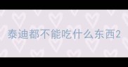 泰迪都不能吃什么东西