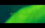 中国最好红陨边牧