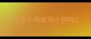 冬天小狗能有小狗吗