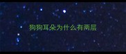 狗狗耳朵为什么有两层
