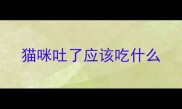 猫咪吐了应该吃什么