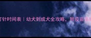 犬脑炎疫苗打针时间表幼犬到成犬全攻略附疫苗品牌和注意事项